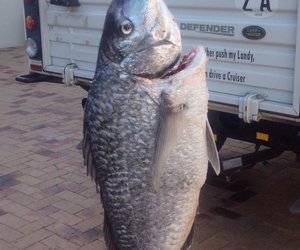 Die skipper, die “crew” en hoe dit werk